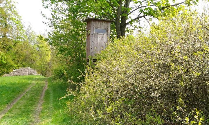 Landgasthof Waldfrieden