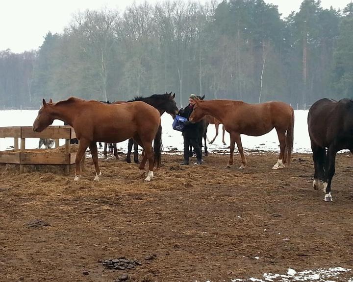 Landgut Schoenwalde