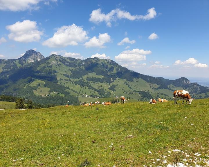 Berggasthaus Walleralm